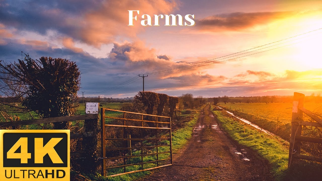 4K Farms Relaxing & Meditating Music Video 😍🔥 #Relax #Meditate #Farm #4K