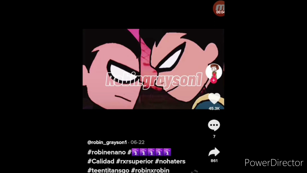 Robin tiktok