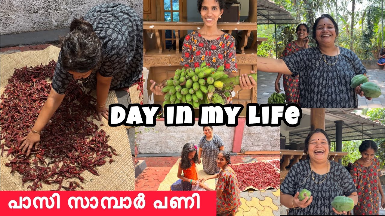 പാസി സാമ്പാർ ഉണ്ടാക്കിയപ്പോൾ 🤩😱വീട്ടിൽ എത്ര എടുത്താലും ഇപ്പോൾ പണി തീരില്ല DAY IN MY LIFE