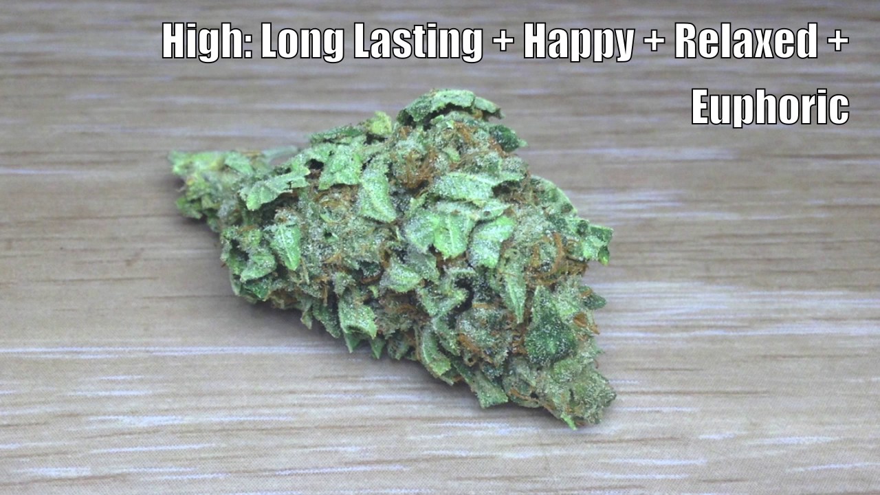Sour Kush * Weed * Strain * Review