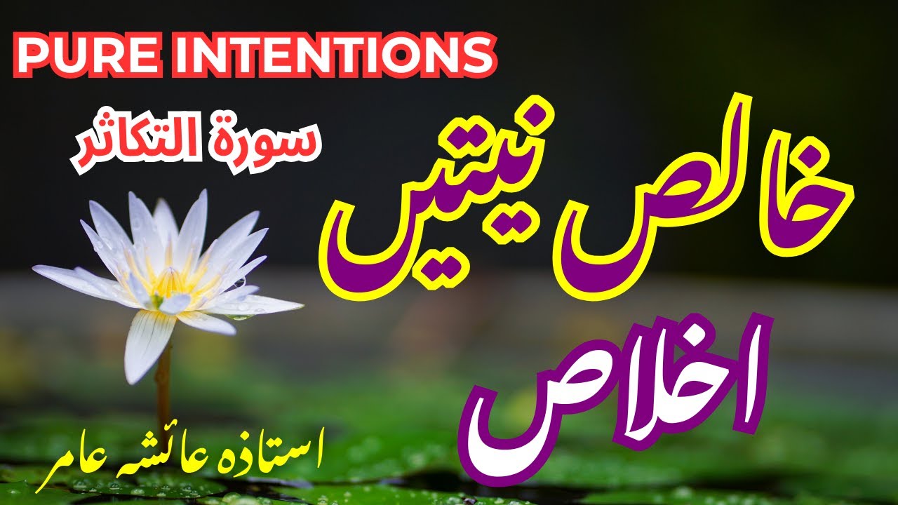 Pure Intentions اخلاص #aiashaamir #islamicbayan #trending #surahtakasur #quran #tafsir #newyear2025