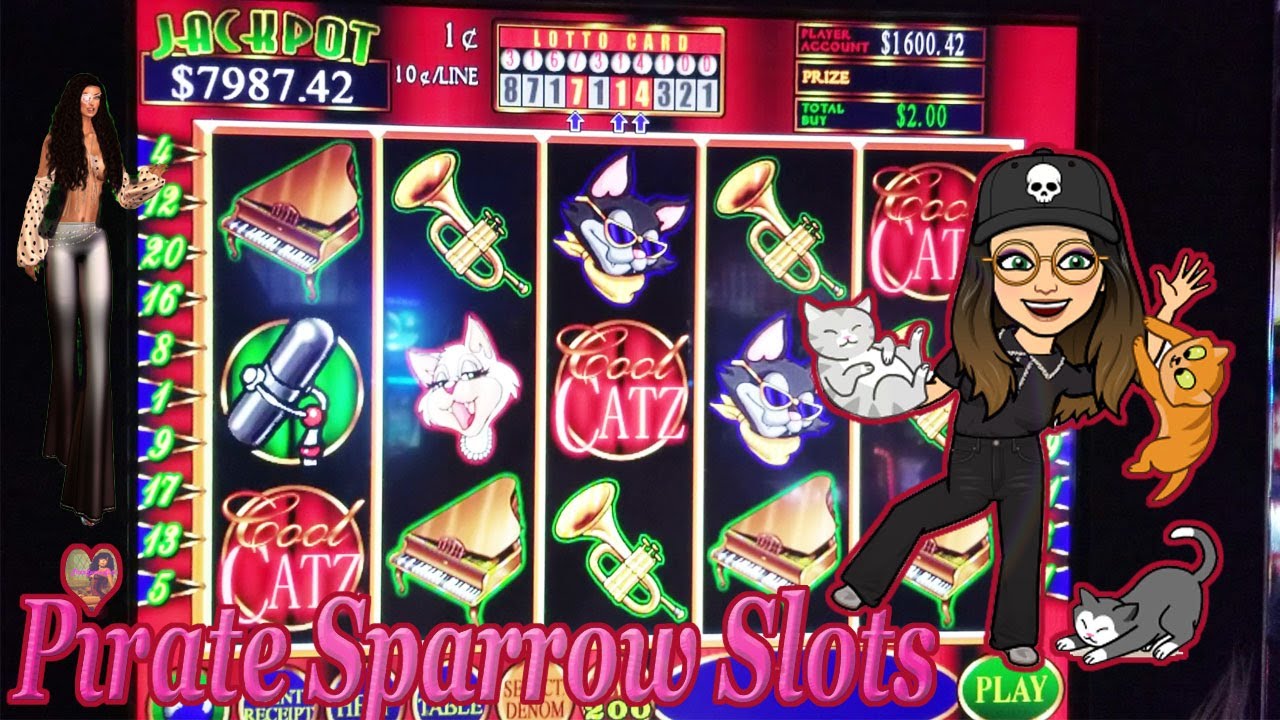 Cool Catz slot machine I hunt over 7K Jackpot on Multiple Machines 🐱