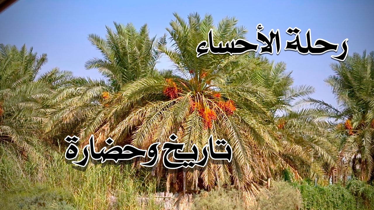 الاحساء  تاريخ وحضاره Al-Ahsa history and civilisation