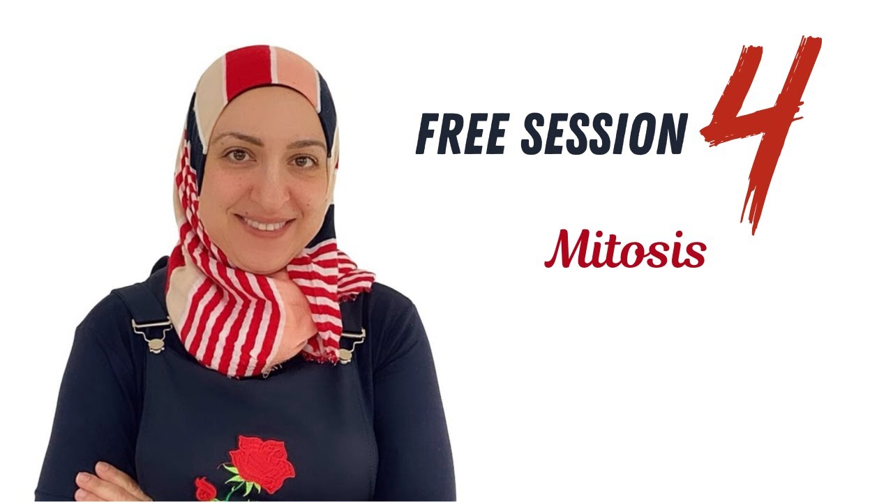 Mitosis (free session 4)