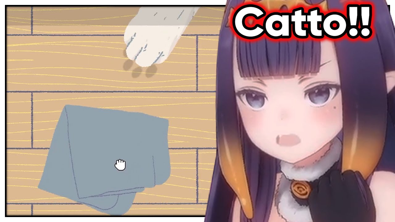 Ina is at war with a cat