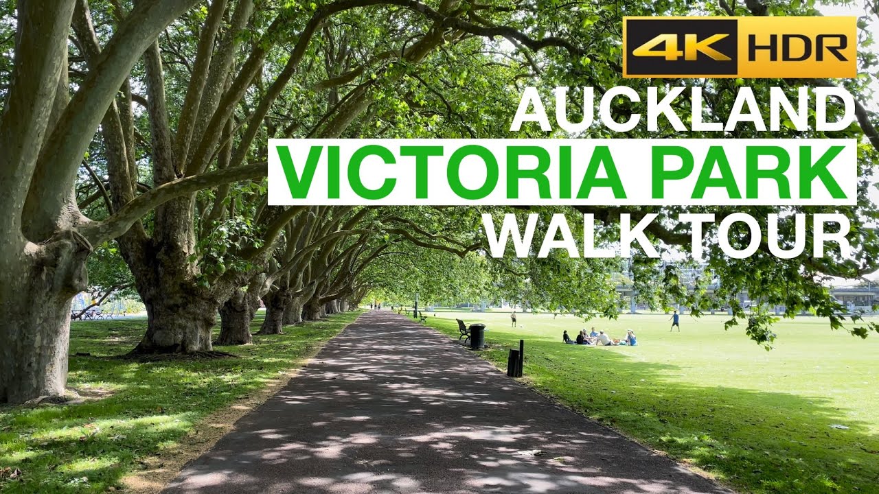 Victoria Park Walking Tour - Auckland New Zealand [4K HDR]