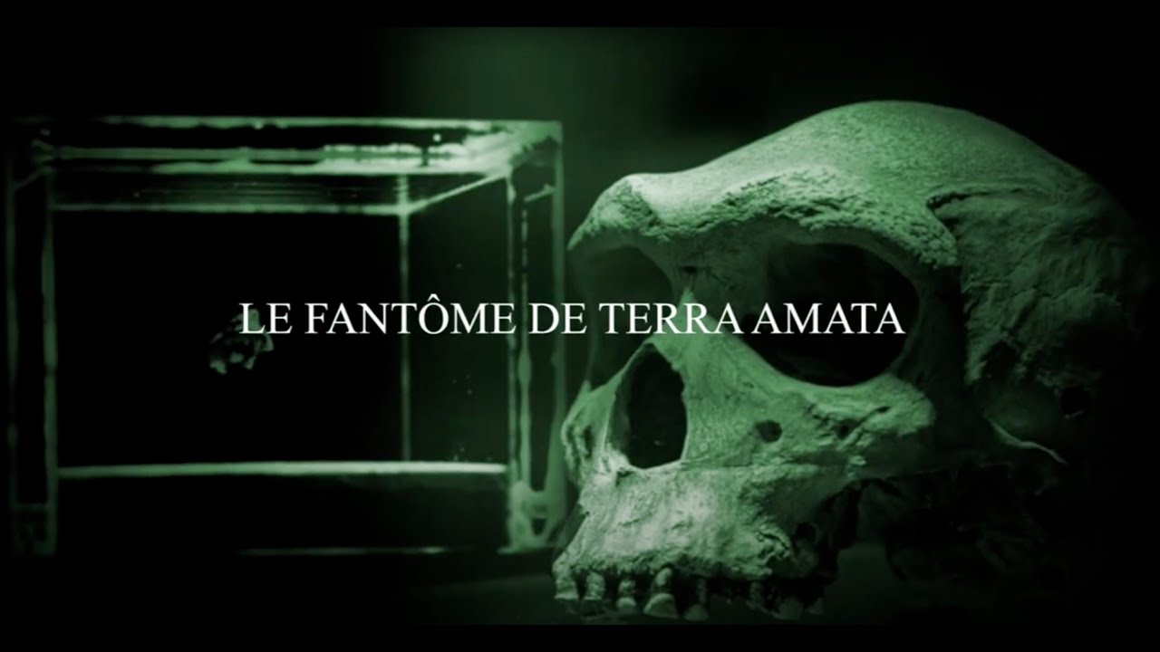 Le Fantôme de Terra Amata - Atelier Fake News
