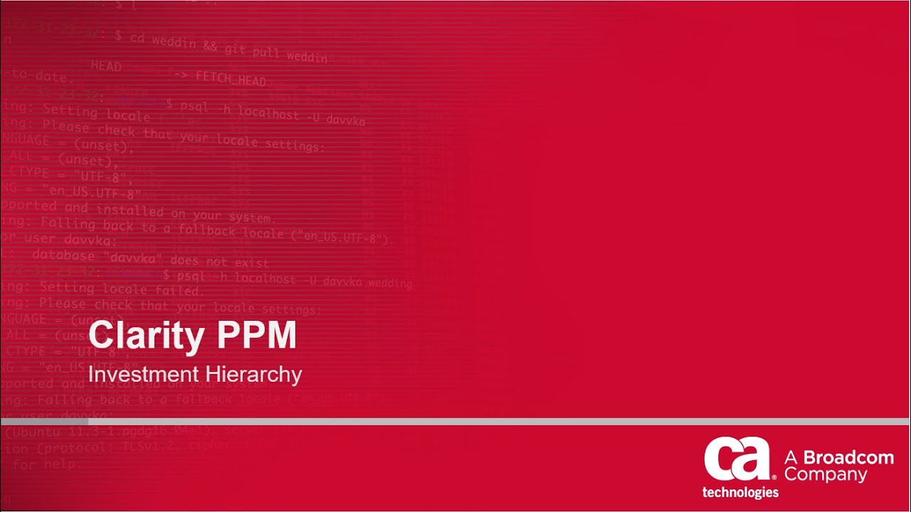 Clarity PPM Investment Hierarchy