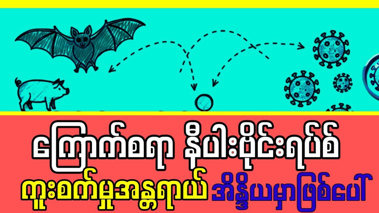ကြောက်စရာကောင်းတဲ့ နီပါးဗိုင်းရပ်စ်#updatenews #nipahvirus #india news