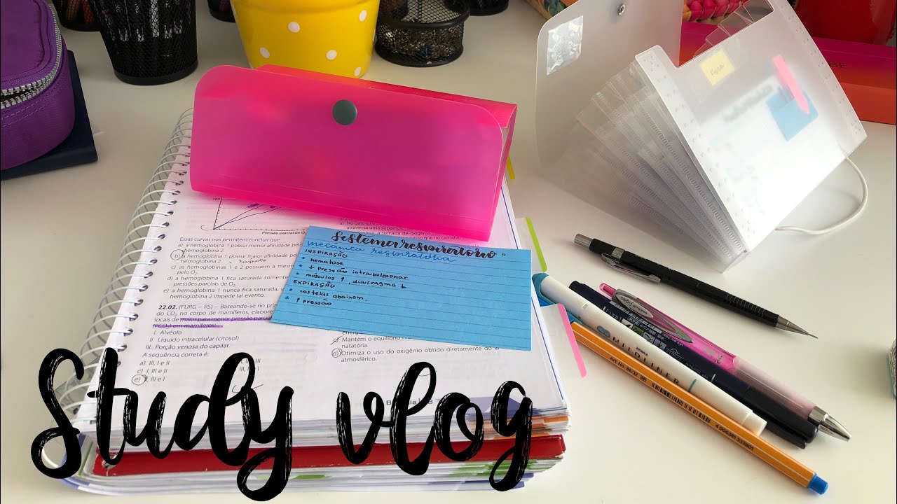 STUDY VLOG + como faço as minhas fichas | StudyTiips