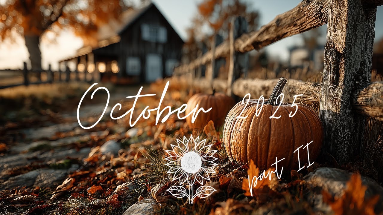 October 2025 Playlist II 🍂 | 2h Indie Pop/Folk Music for Cozy Nights & Autumn Stillness