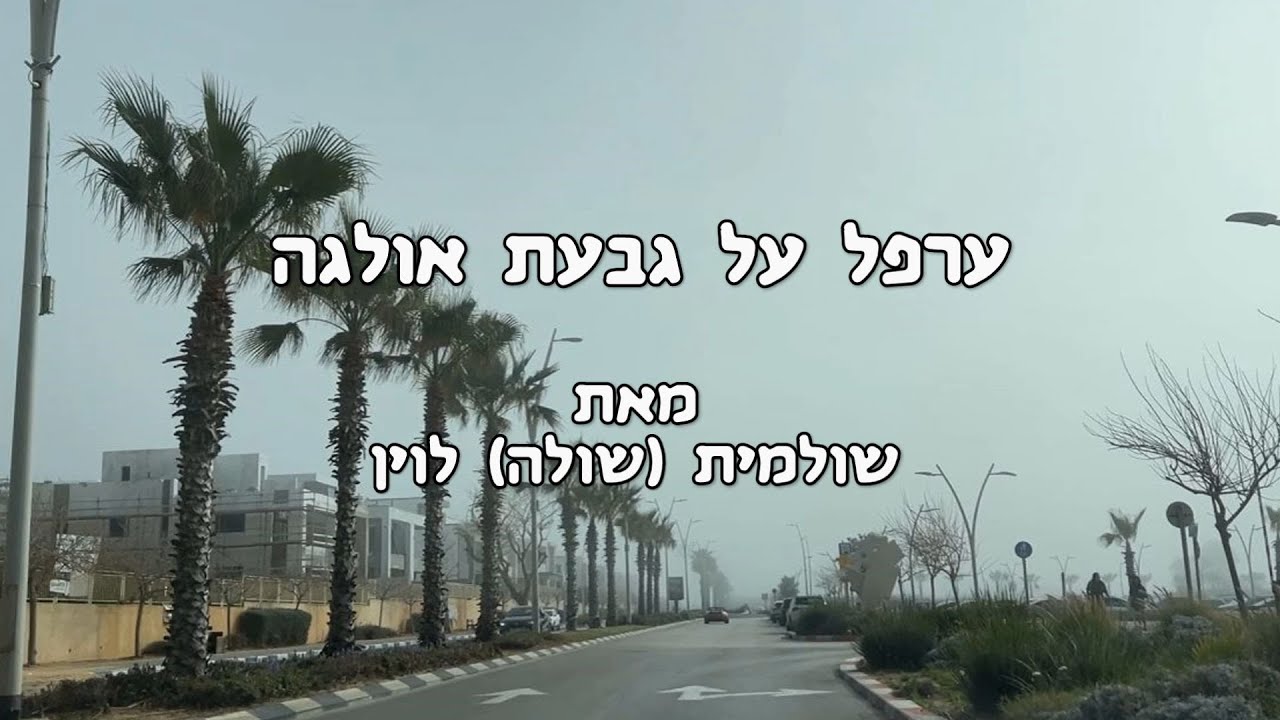 היום בו ערפל כבש את גבעת אולגה ואז שחרר אותה - 2025 Fog on Givat Olga