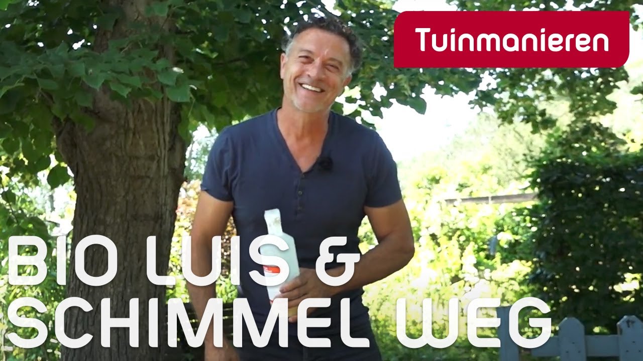 Luis, schimmel, meeldauw, spint, witte vlieg. Wat doe je ertegen? | Tuinmanieren