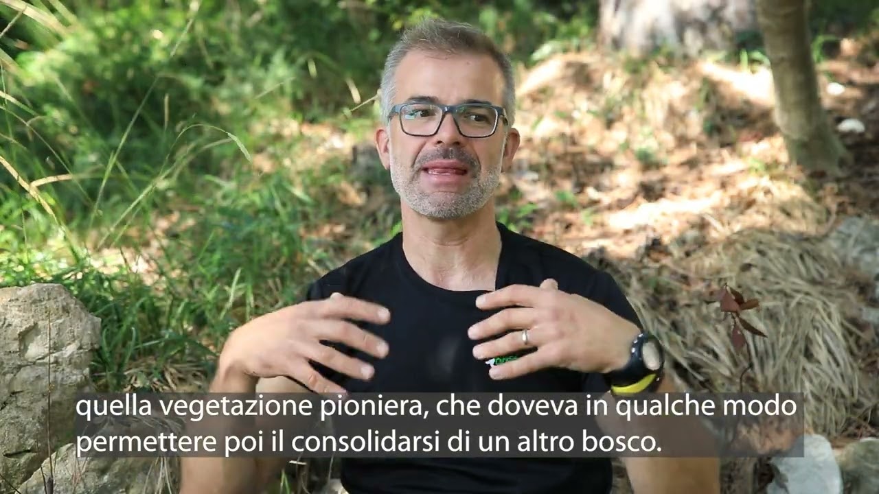 Il Parco di Miramre - Ivan Snidero sub ITA