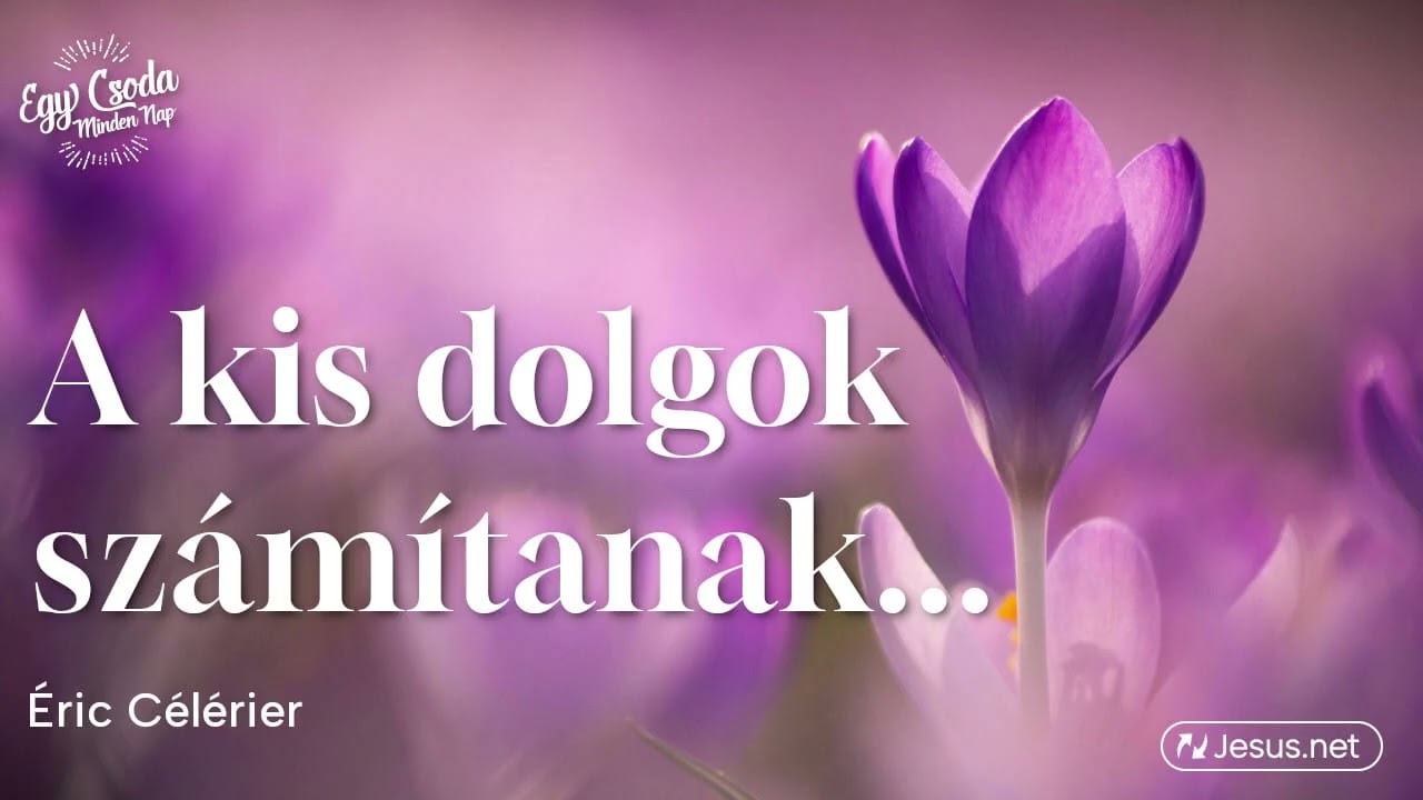Testvérem, a kis dolgok számítanak...