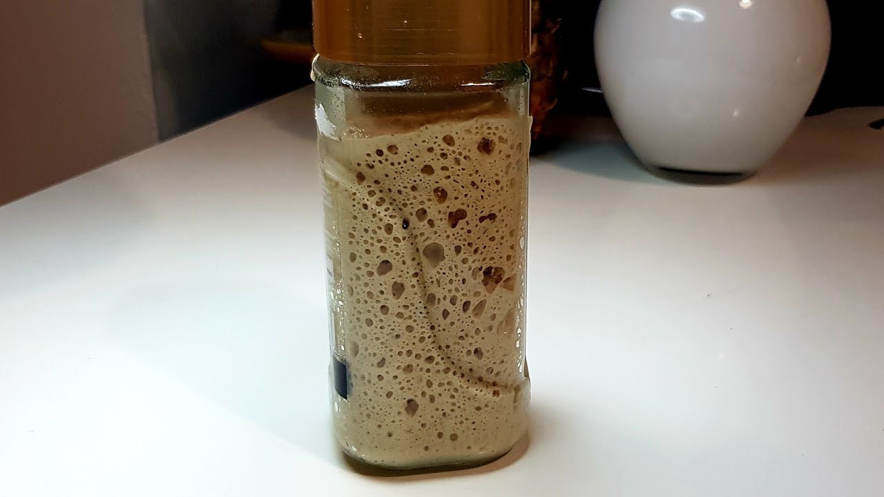 طرز تهیه مخمر خانگی فوق العاده ، sourdough starter, lievito madre