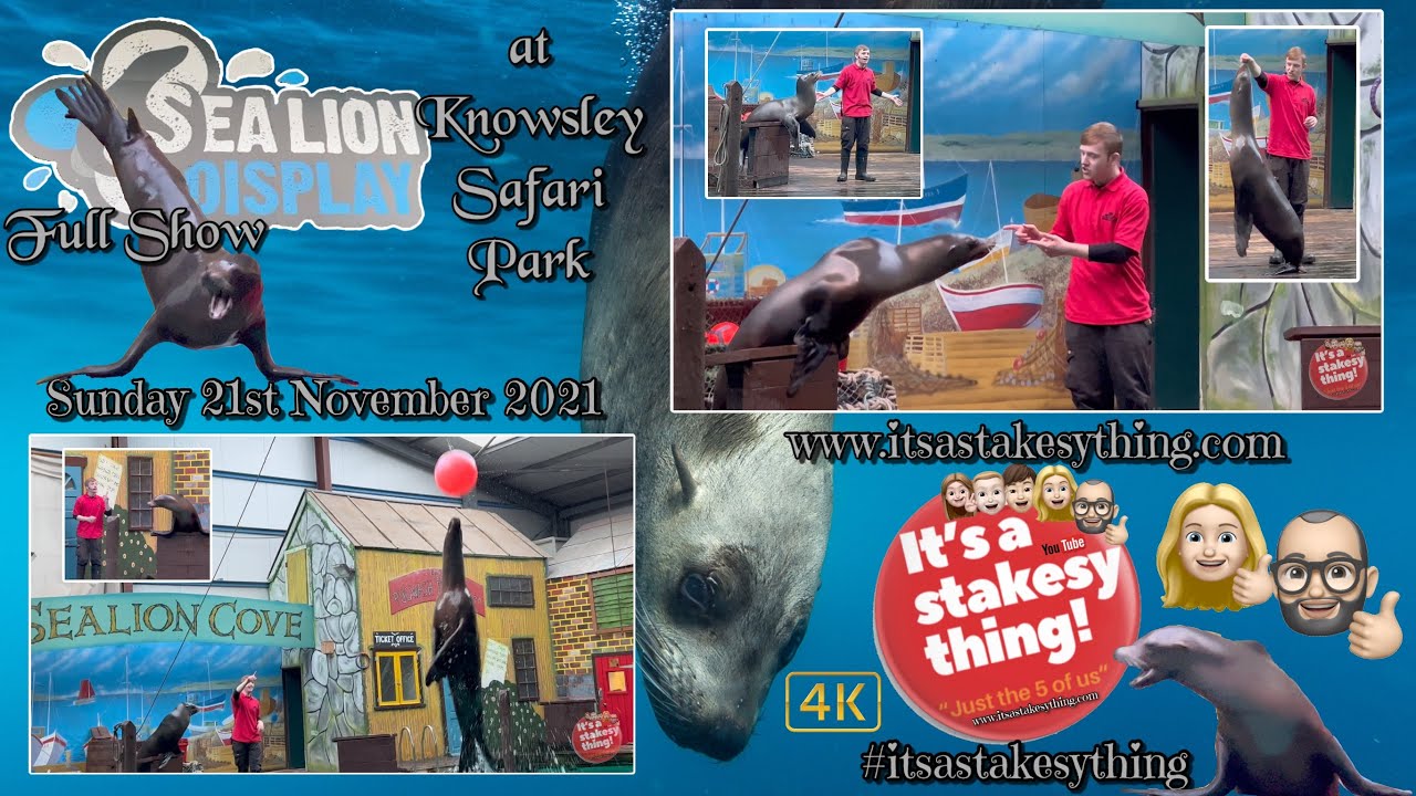 Sealion Display | Knowsley Safari Park | Full Show 2021 | 4K | #itsastakesything