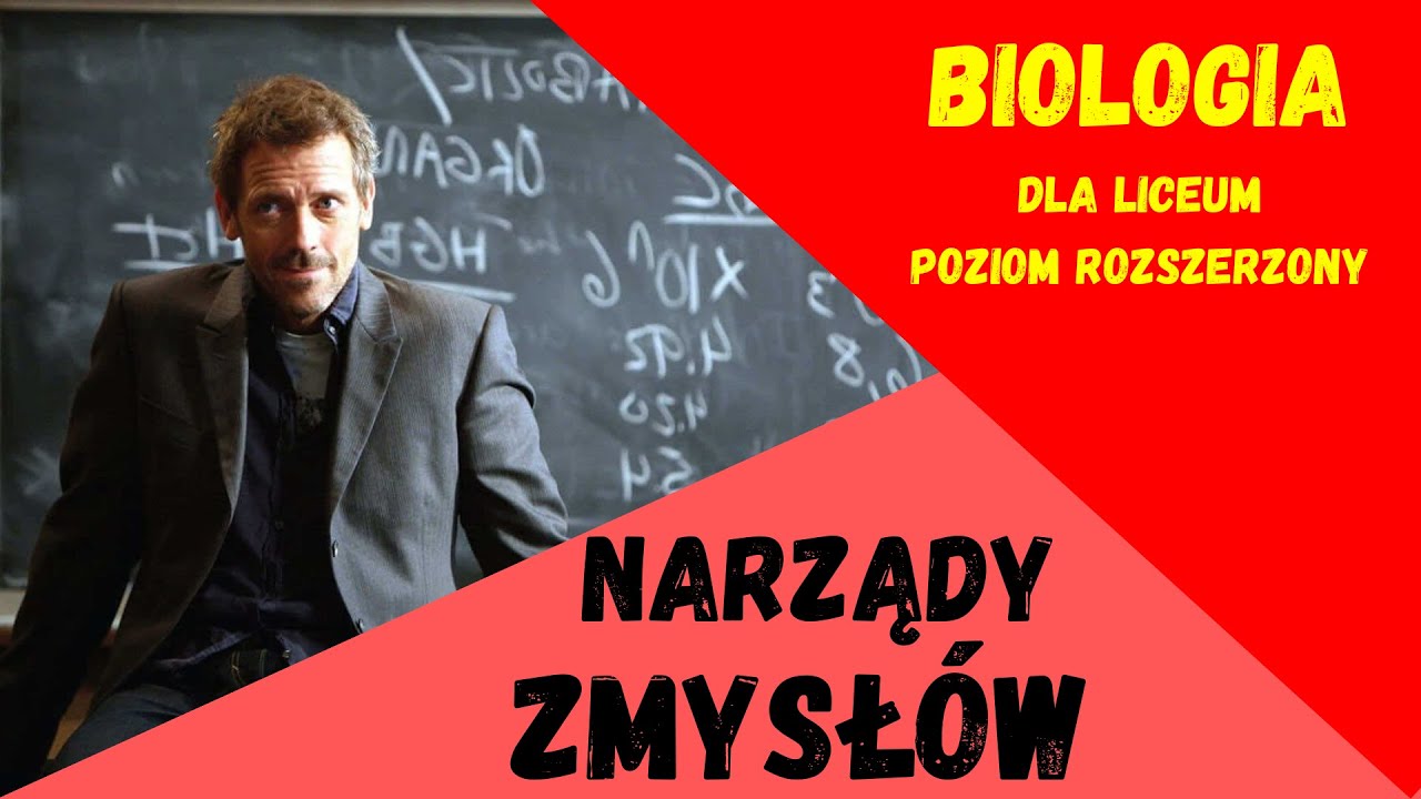 Narządy zmysłów. Biologia rozszerzona do matury. #matura