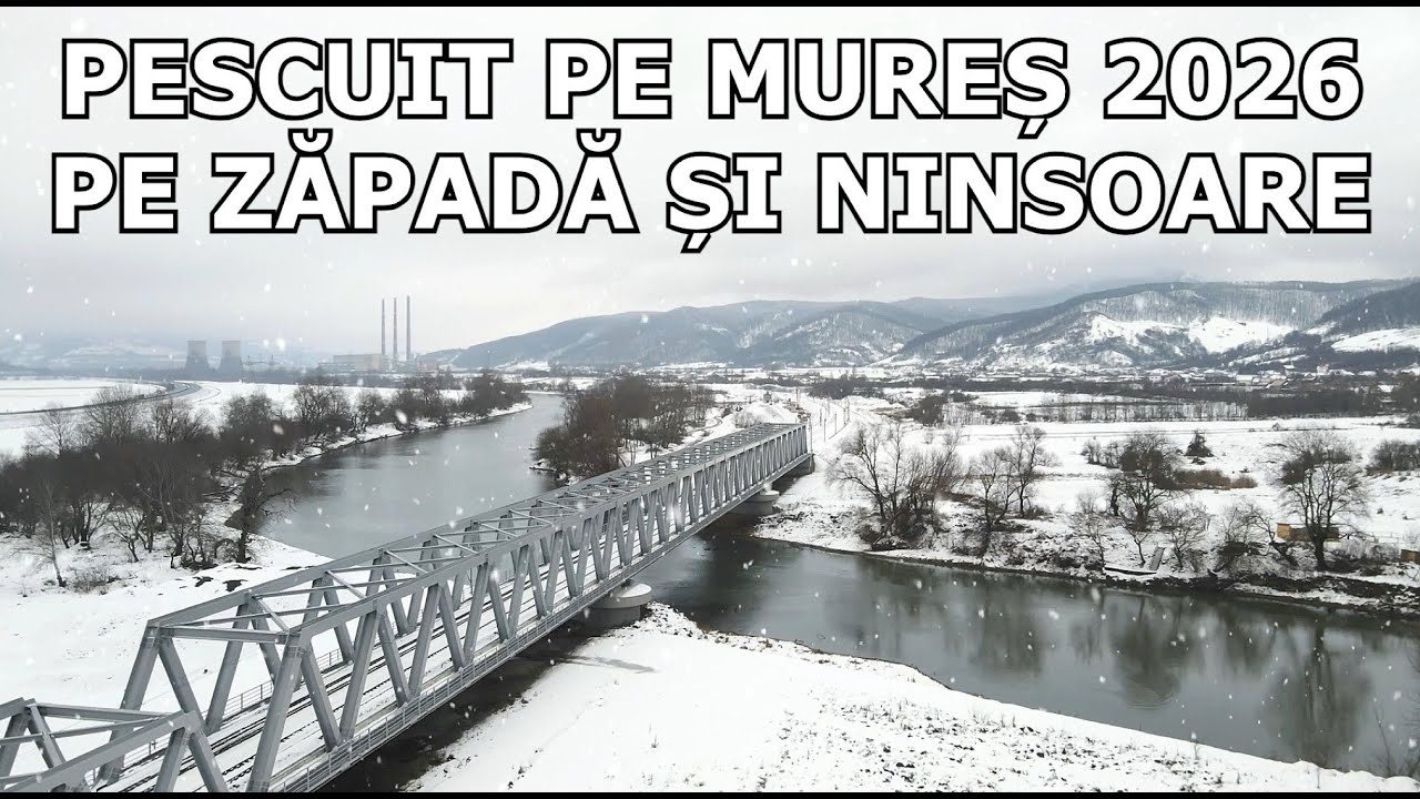 Pescuit Pe Mures 2026 cu NINSOARE SI ZĂPADĂ Într-o ZI SUPERBĂ de Iarnă