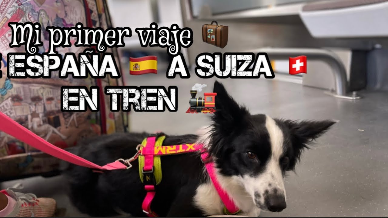Como VIAJAR con un perro grande en tren/Argi viajando por primera vez fuera de España 🇪🇸🇫🇷🇨🇭
