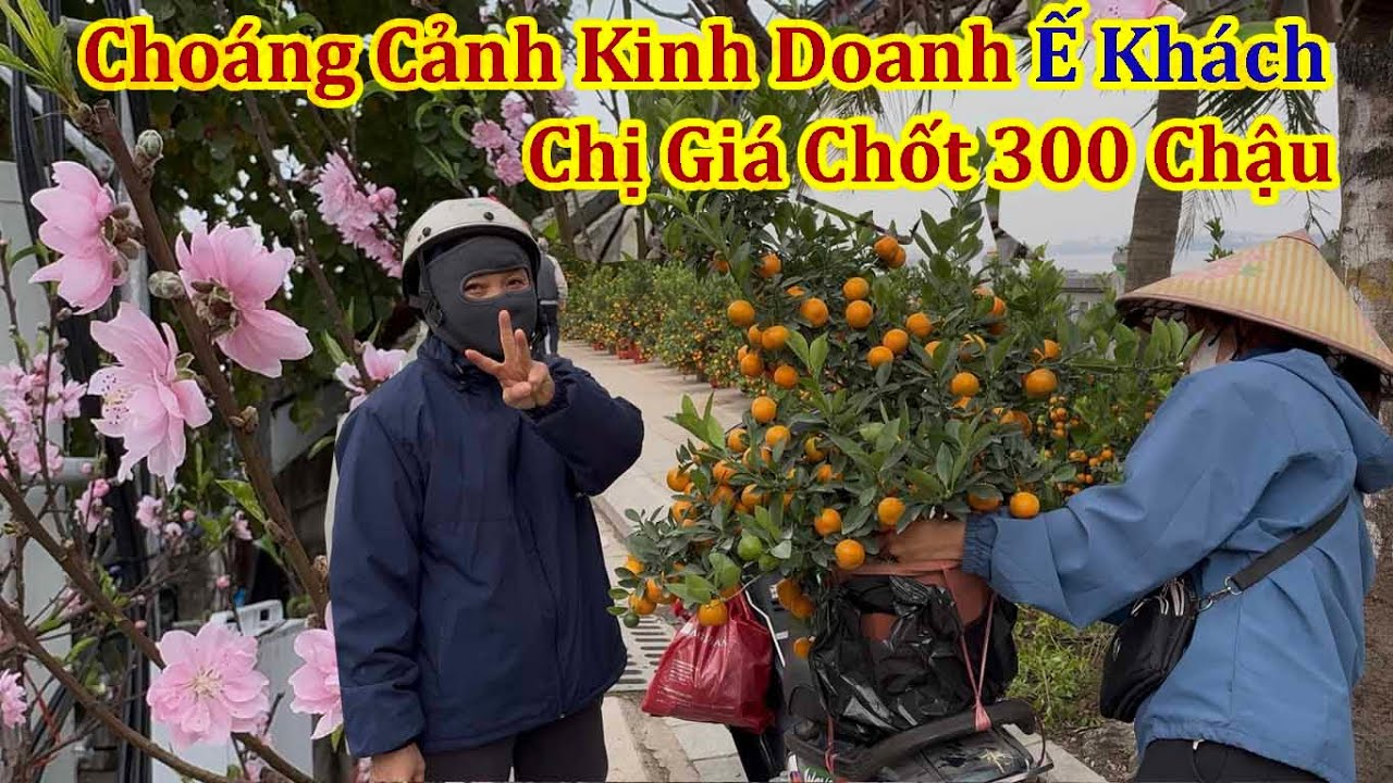 Cảnh Kinh Doanh Hoa Tết Ế Ẩm Cả Phố Bán Được 2 Chậu Quất Giá 300 K