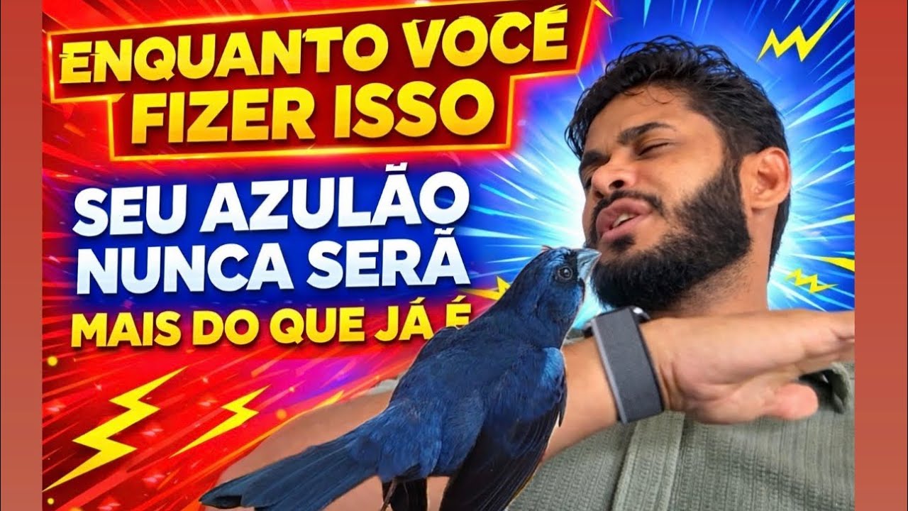 POR ISSO VOCÊ NÃO TEM BONS RESULTADOS COM AZULÃO 