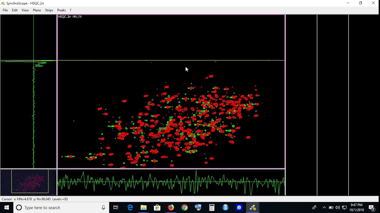 NMR assignment of protein or peptide by Cara software