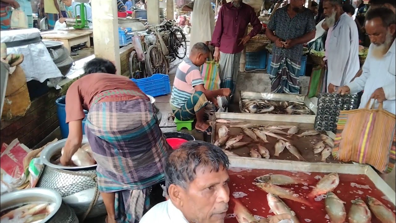 Baliakandi Big Fish Market In Bangladesh | River Fish / Sea Fish etc | Fish Market video 2023