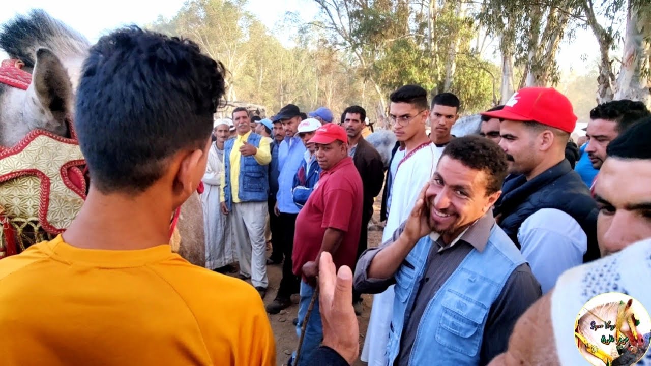 حريفي عزيز الحافة دخل جدع مليح ݣضار و كلشي سوق الخميس سهول سلا