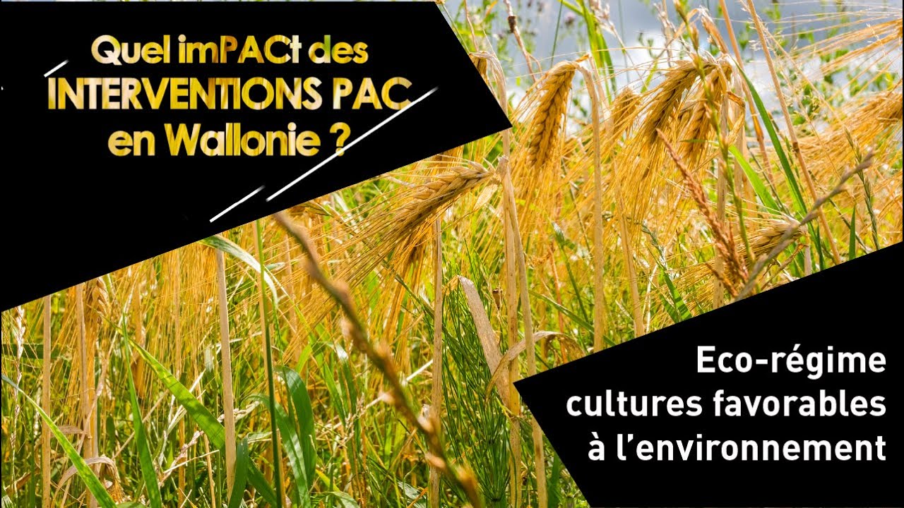 Quel impact pour la PAC - Eco-régime Cultures favorables à l'environnement
