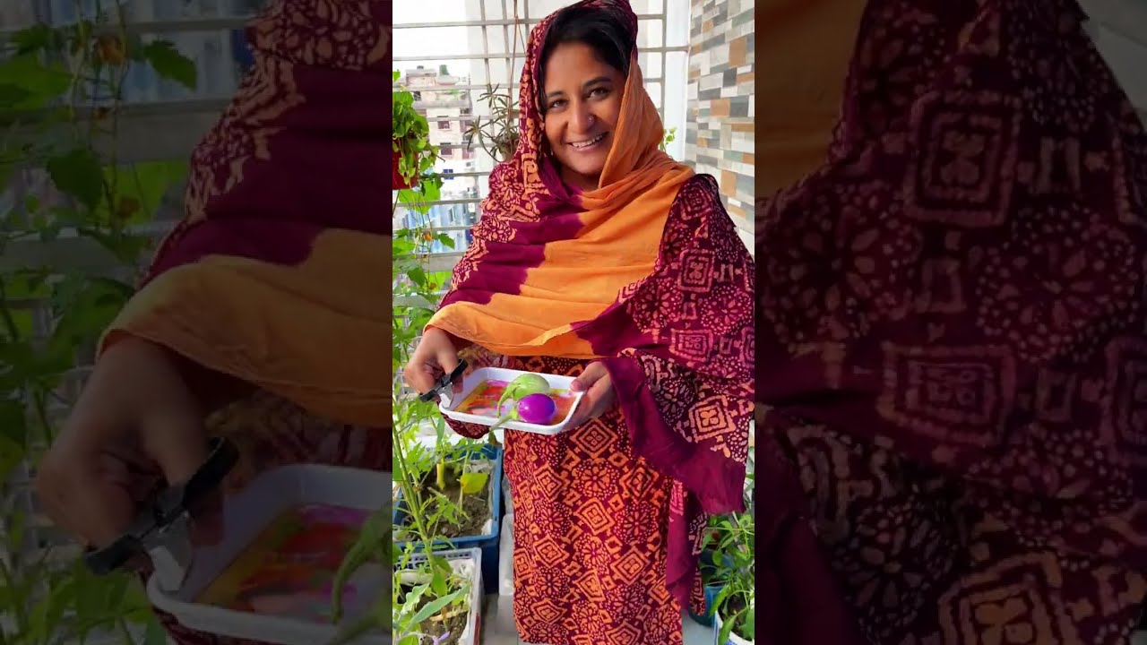 নিজের লাগানো গাছ থেকে সবজি তুলে দুপুরের রান্না করলাম 