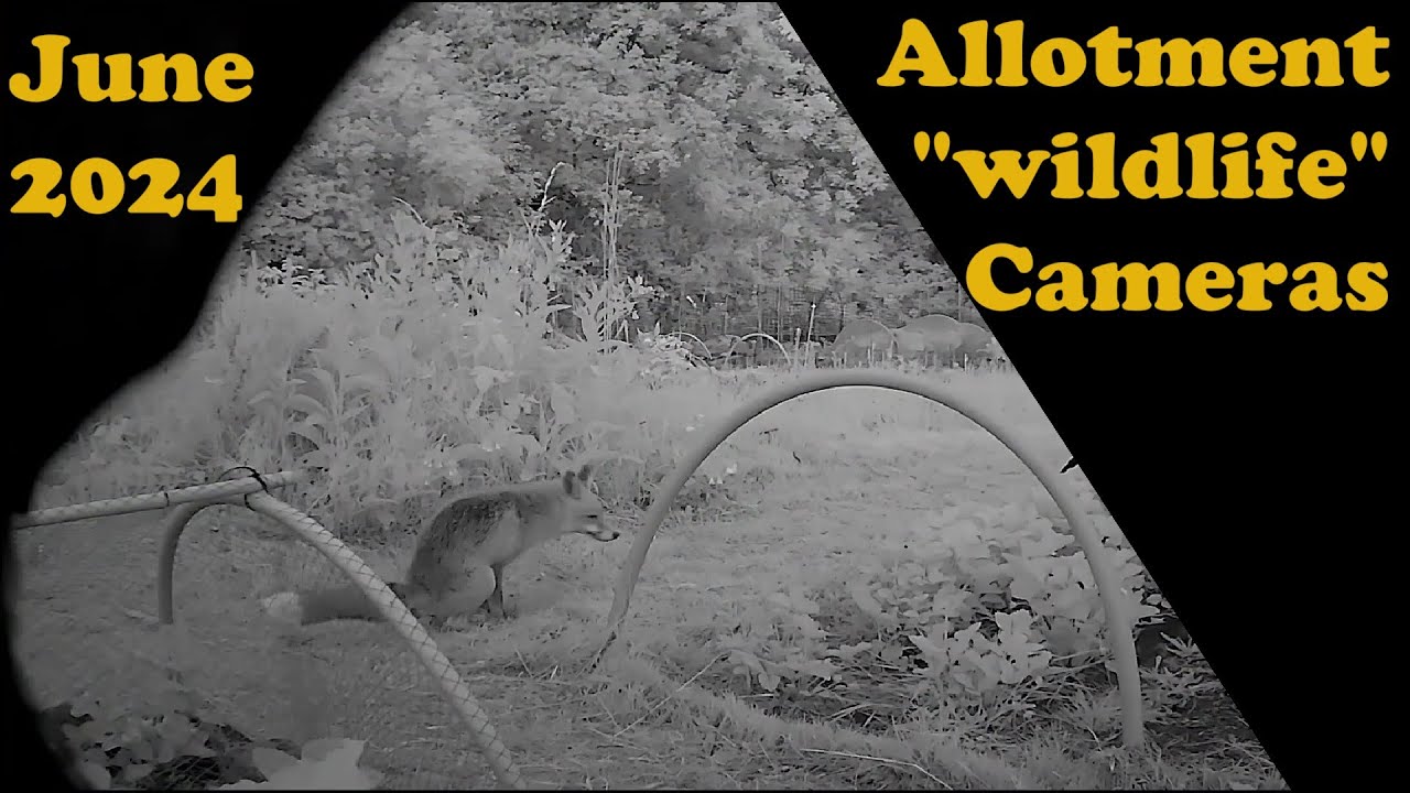 Allotment security 
