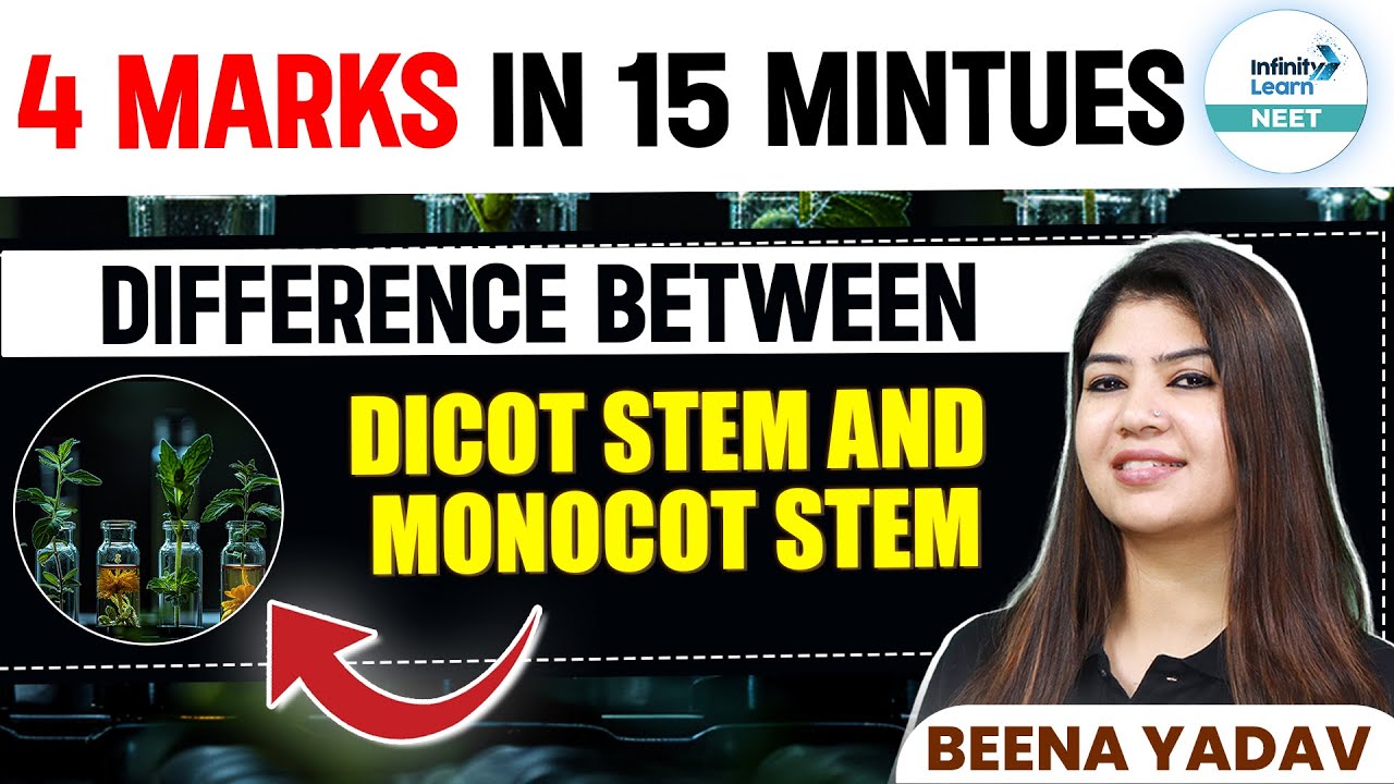 Difference Between Dicot Stem and Monocot Stem | 4 Marks Under 15 Minutes | NEET 2025 Botany