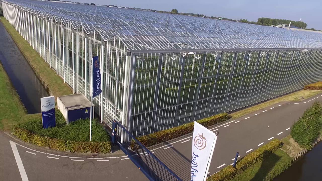 Drone video Maasdijk, Westland