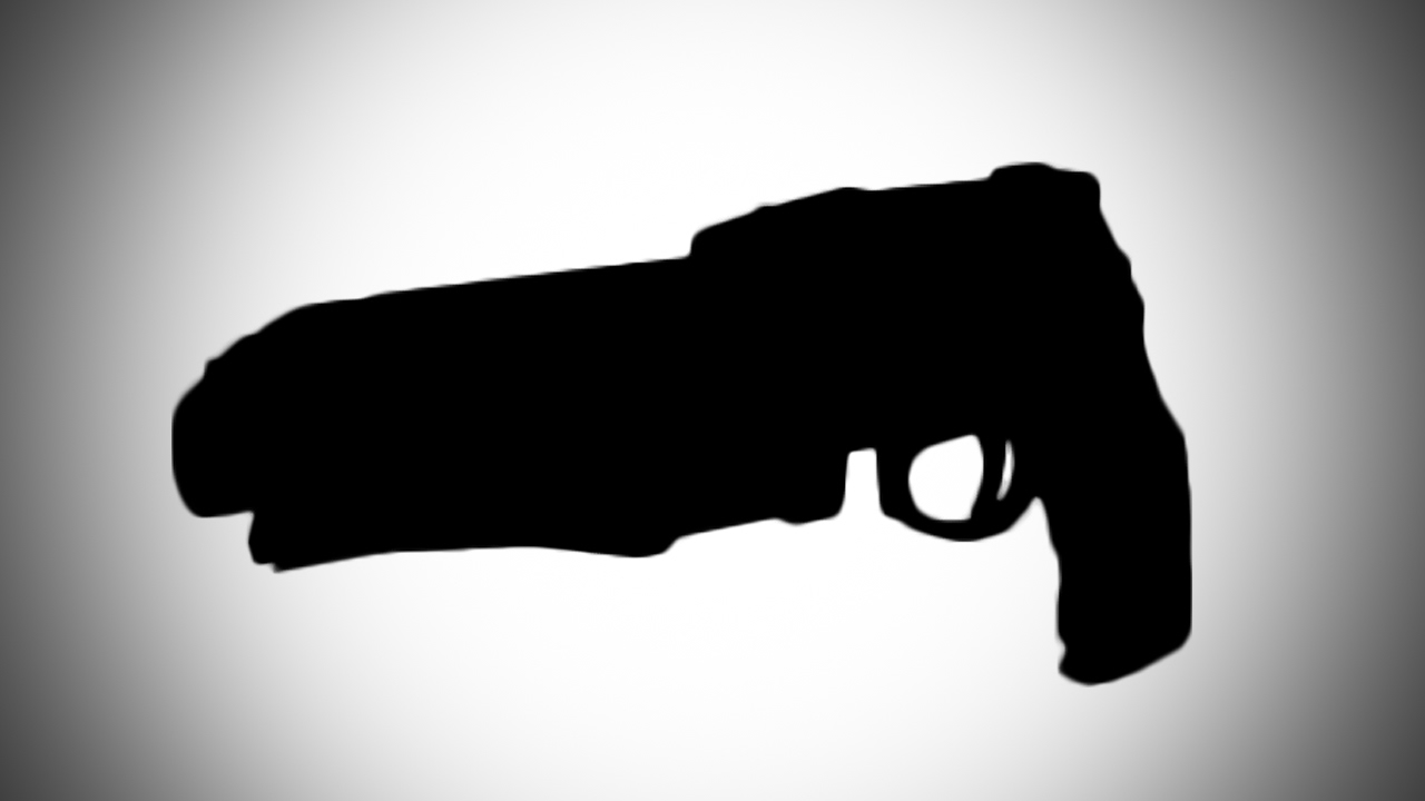 The Best New Hand Cannon That Nobody Is Using