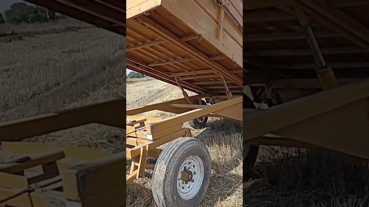 Remolque Bison  #farming #tractorvideo  #agriculture #agricultura #harvest #johndeere #farmer
