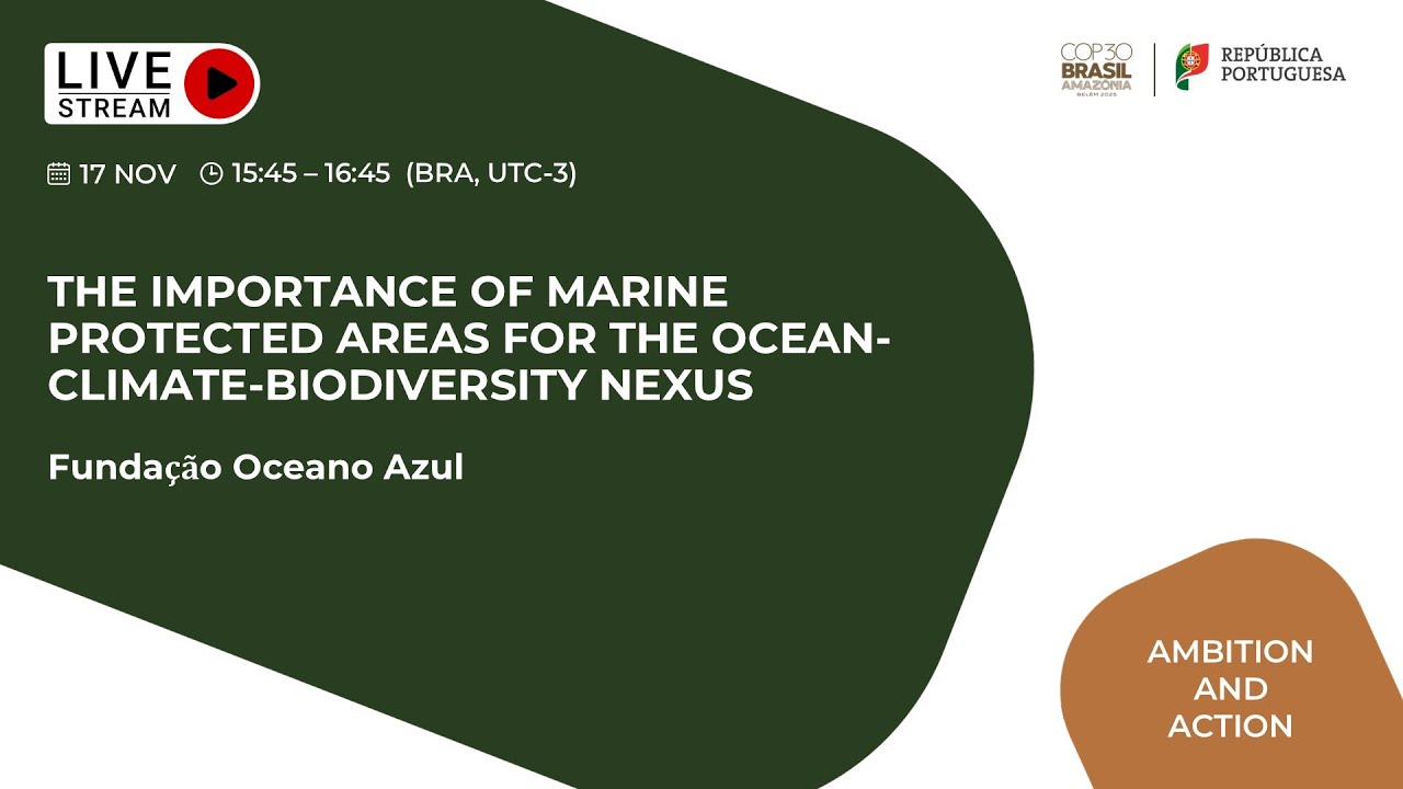 The Importance of Marine Protected Areas for the Ocean-Climate-Biodiversity Nexus