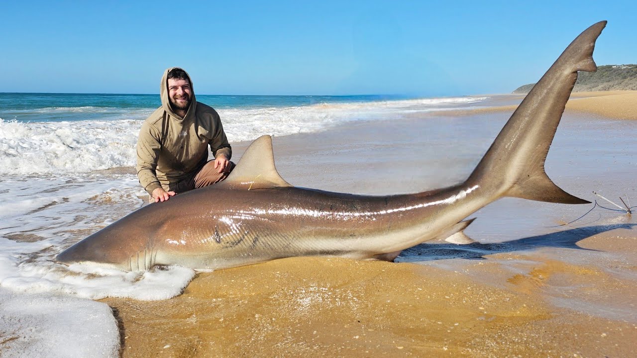 Land Based Shark Fishing The 90 Mile Beach