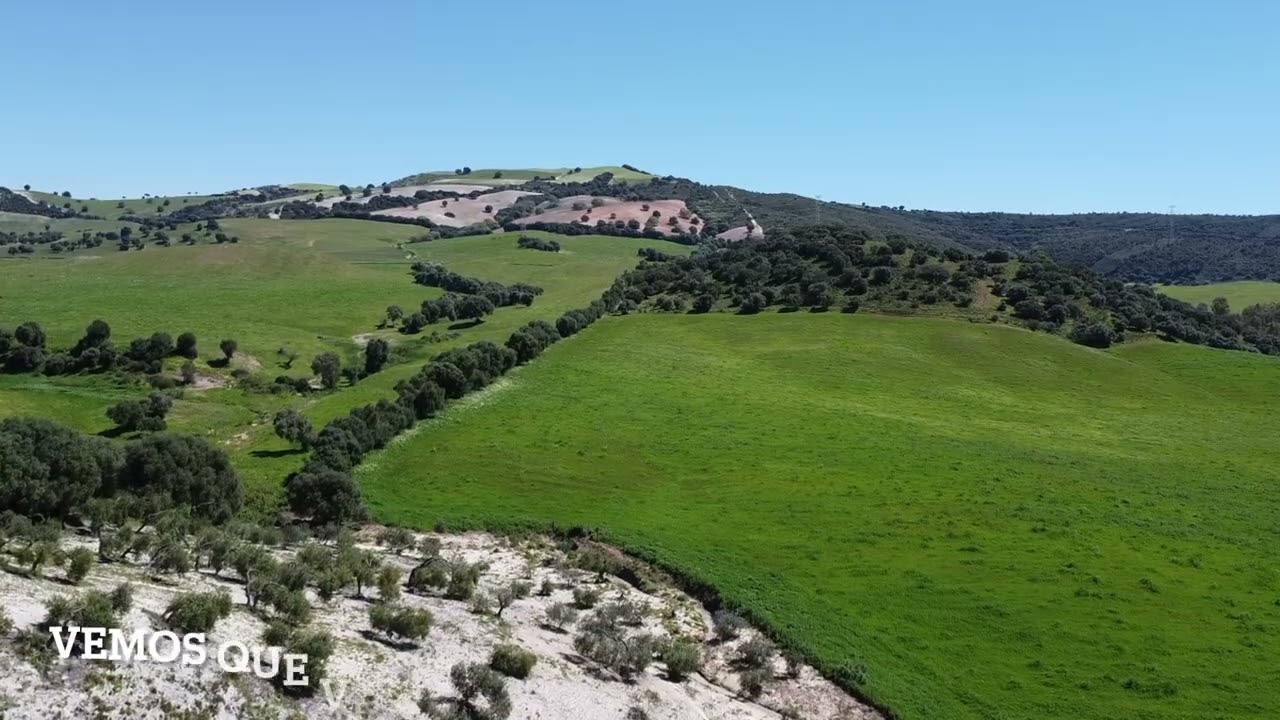 Arroyo del Canutito (San José del Valle)