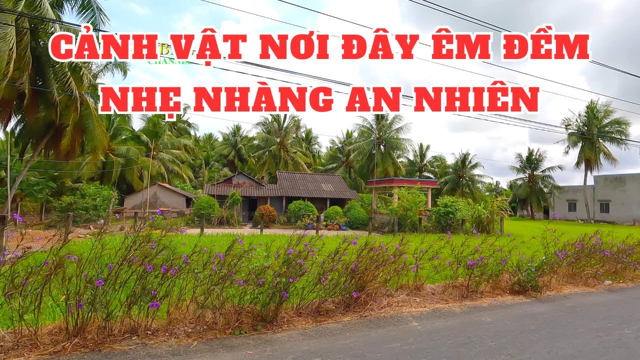 Khám phá xã Vĩnh Hựu Huyện Gỏ Công Tây Tỉnh Tiền Giang