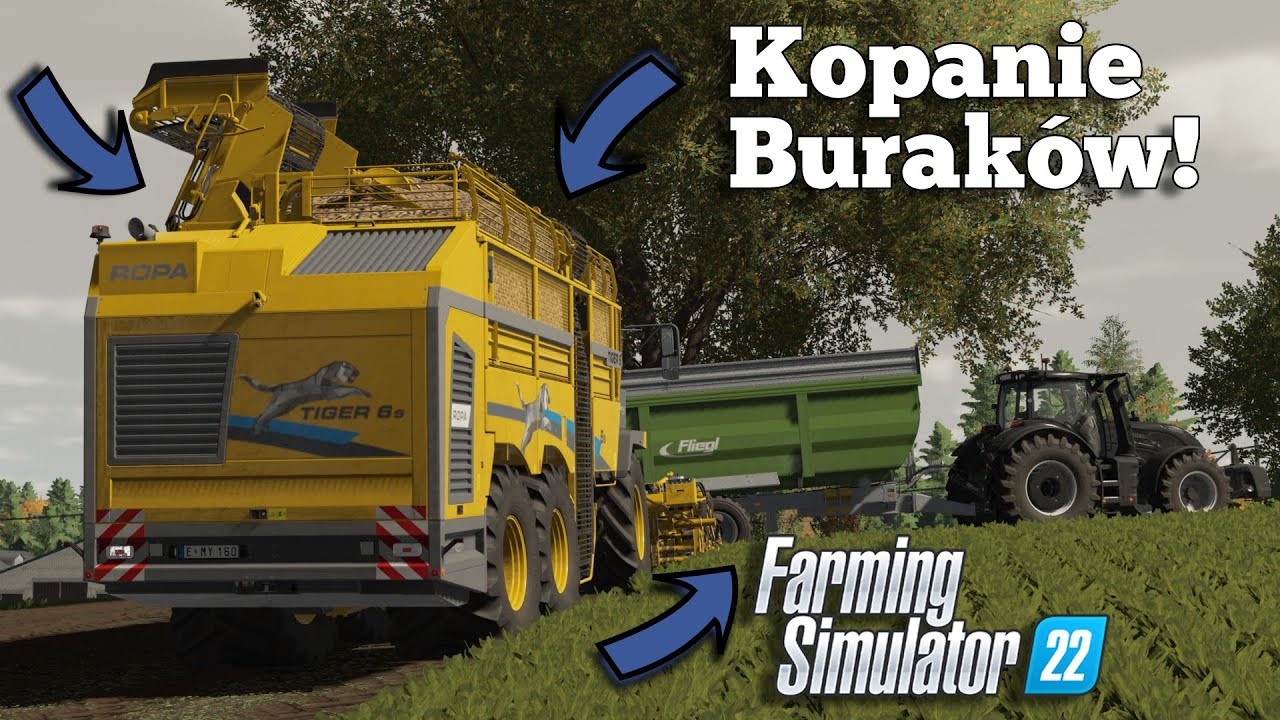 😱Kopanie Buraka na WIELKĄ SKALĘ!😱ROPA TIGER 6XL na Polach😍"BAMBRY" 