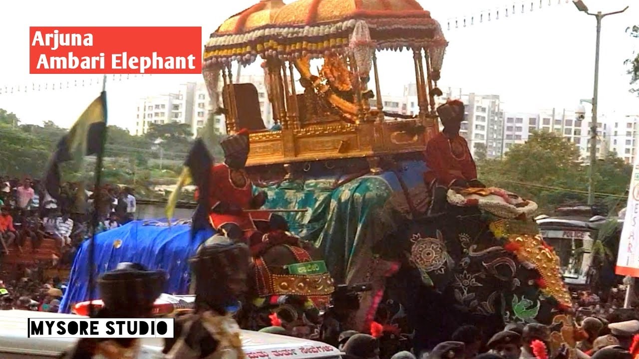 Jumboo Savari 2019 Dasara Elephants Ambari Elephant Arjuna Mysore Karnataka tourism