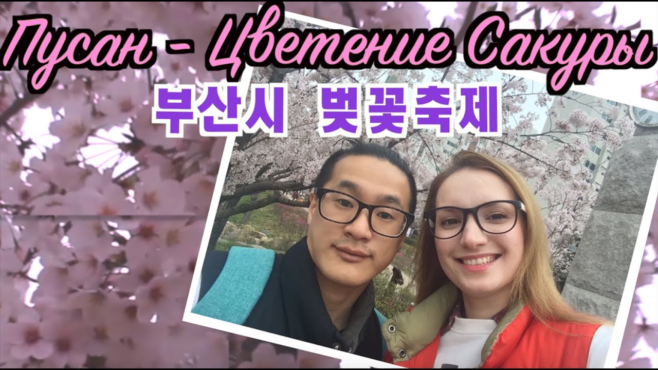 부산시 벚꽃축제 | Цветение Сакуры в Пусане | Sakura Bloom's in Busan [Eng.Rus. Sub]