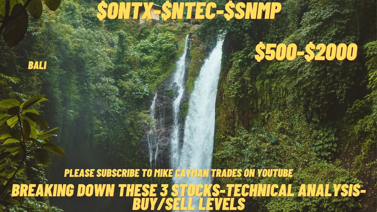 #ONTX-#NTEC-#SNMP-$500-$2000-Technical Analysis-Buy/Sell Levels