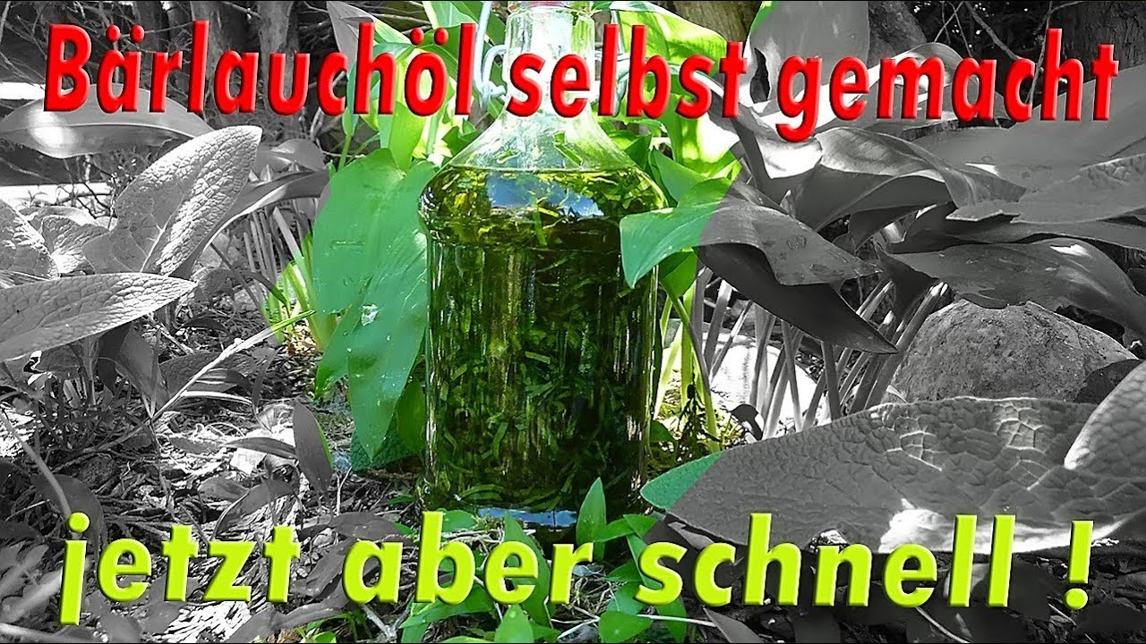 B&Auml;RLAUCH&Ouml;L selbst GEMACHT - jetzt aber SCHNELL bevor er BL&Uuml;HT!