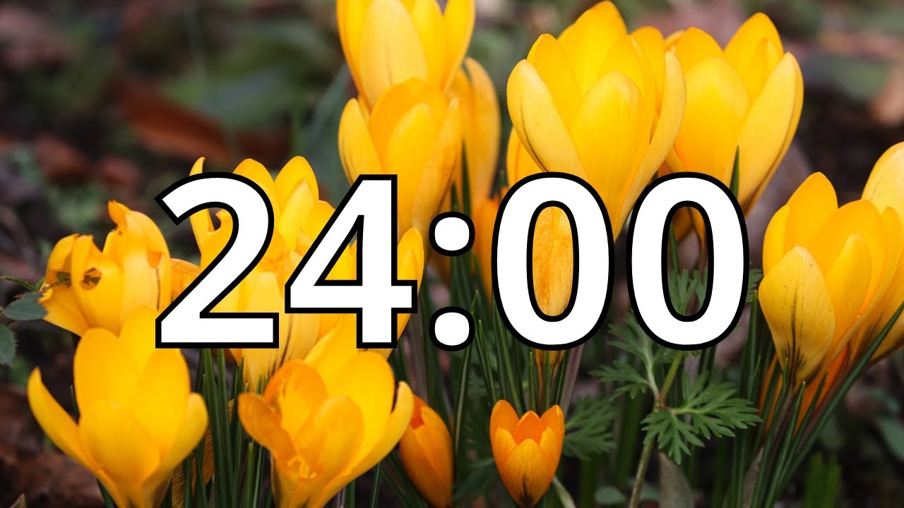 24 Minutes Timer with Music | Spring Timer
