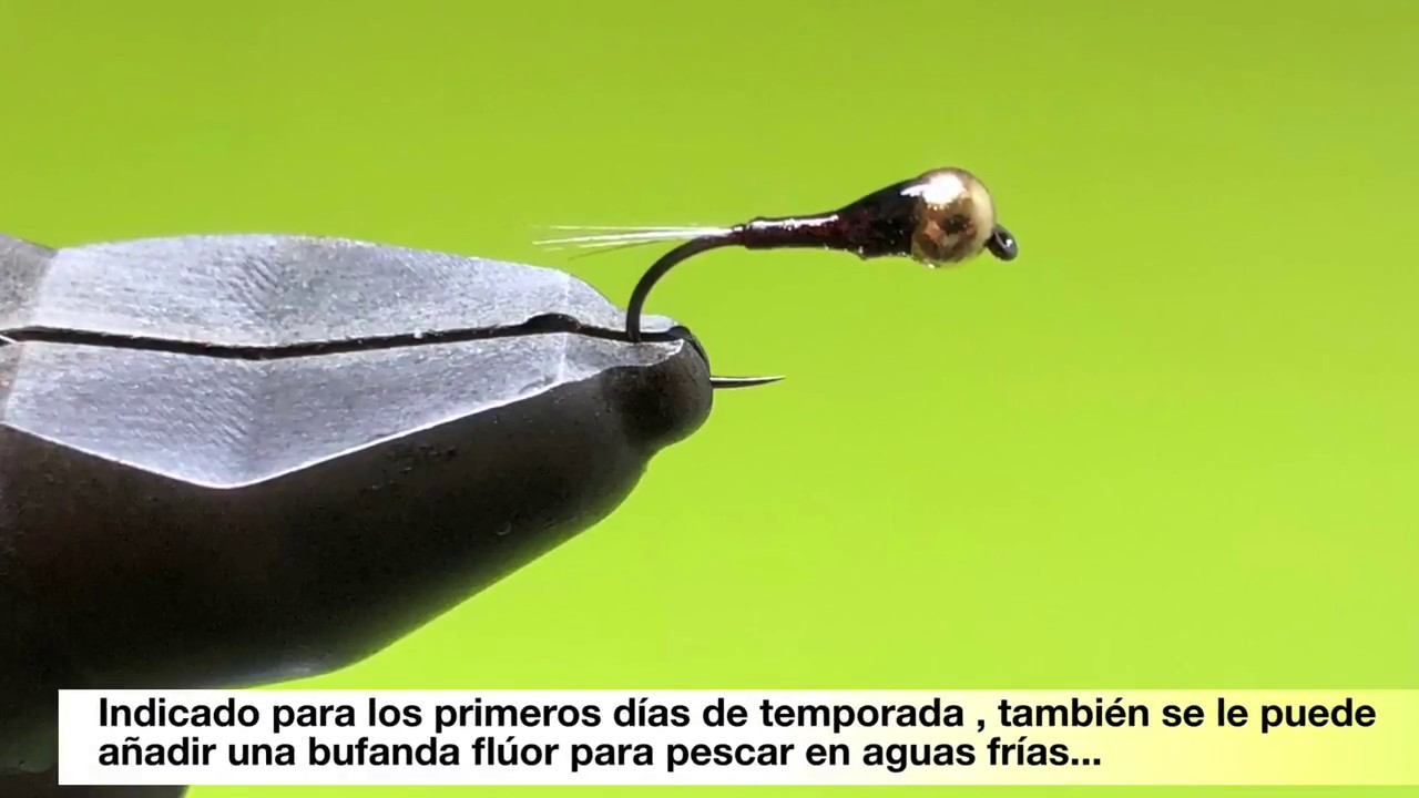Montaje perdigón principio de temporada