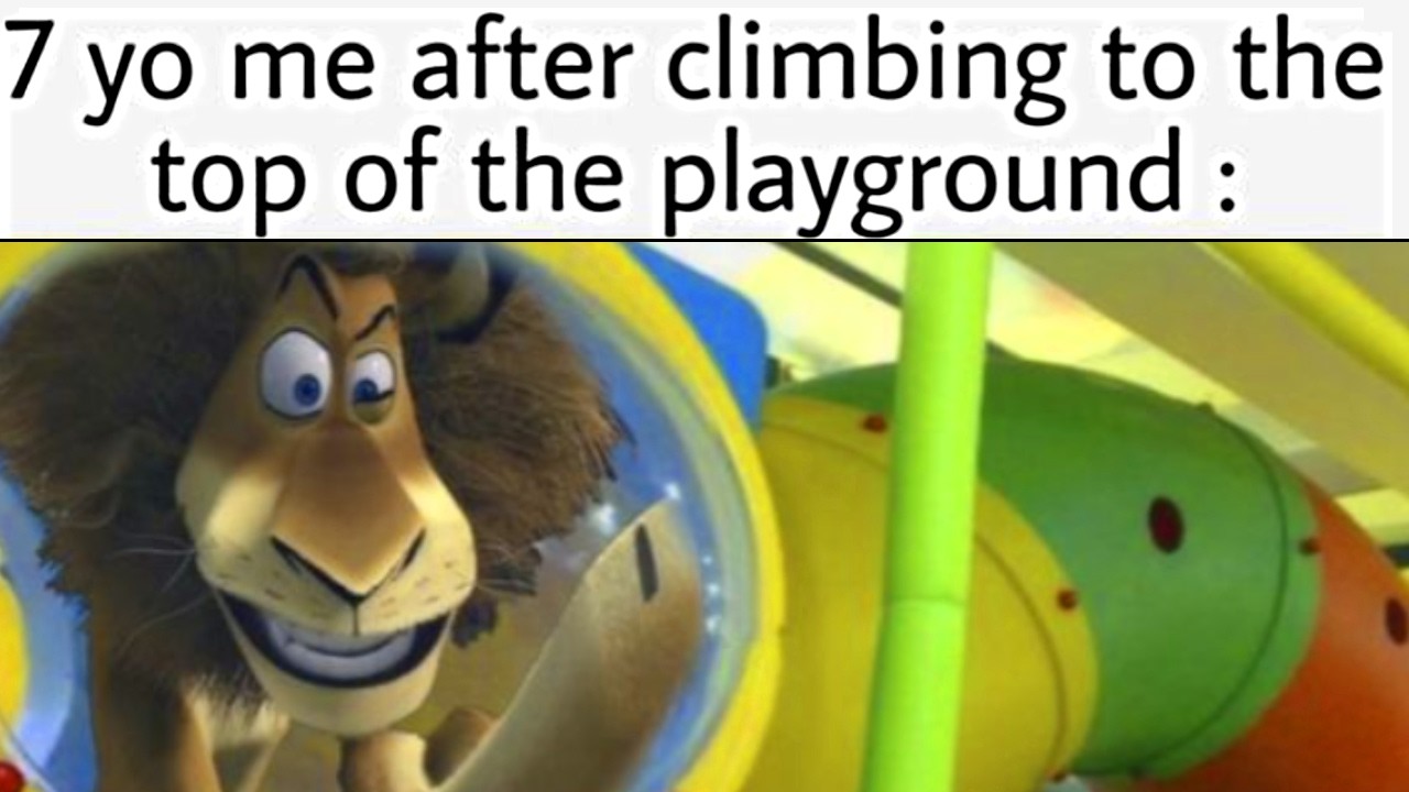 Hilarious Memes