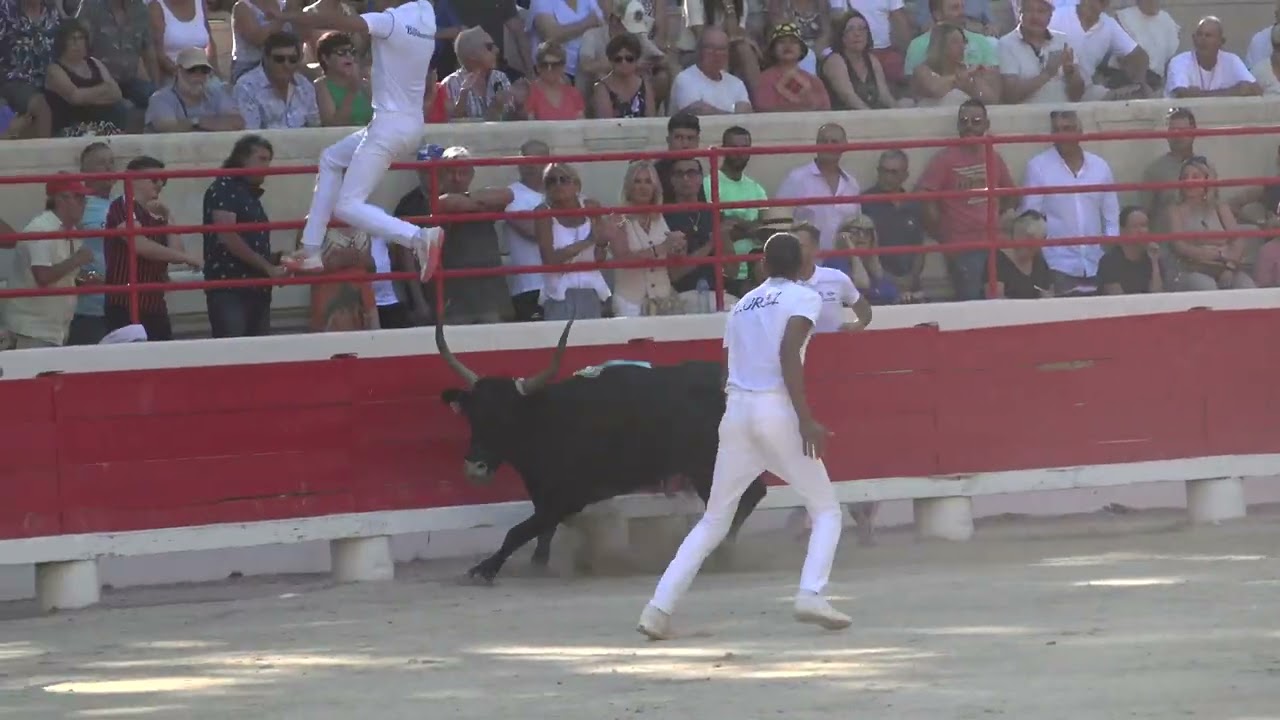 Le 13:07:25 BEAUCAIRE 1ÈRE JOURNÉE DE LA PALME D'OR