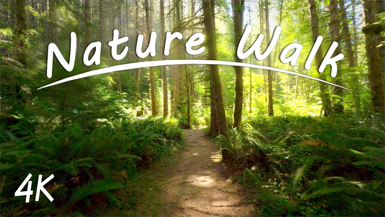 Woodland Nature Walk (with Waterfall) | 4K Virtual Hike | Alsea Falls Oregon